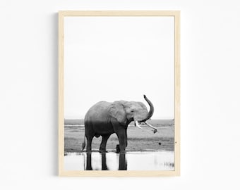 May include: A black and white photograph of an elephant with its trunk raised in the air, standing in a shallow pool of water. The elephant is in a grassy field with a white sky in the background.