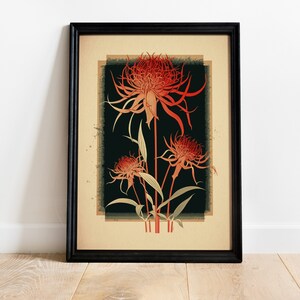 May include: A framed print of a botanical illustration featuring three red flowers with long, thin petals against a dark green background.