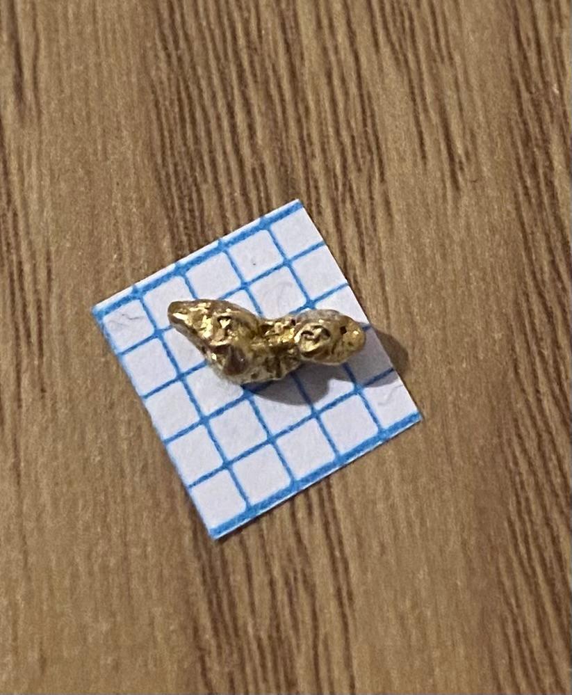 gold nugget tie pin