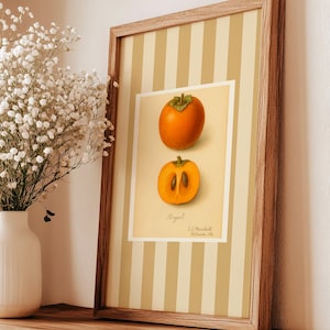 Vintage Persimmon Kitchen Wall Art Rustic Beige Stripe Farmhouse Decor Botanical Fruit Print Neutral Pantry Home Decor Orange Dining Room