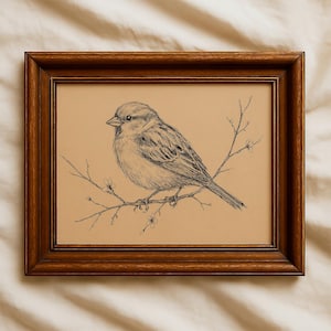Vintage Sparrow On Branch Sketch Wall Art Minimalist Spring Nature Drawing Rustic Farmhouse Living Room Decor Beige Line Art Country Home