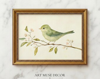 Warbler Bird Watercolor Print: Vintage Botanical French Country Wall Art