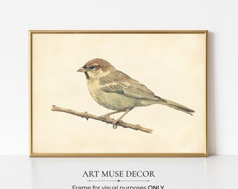 Vintage Sparrow Watercolor Painting Print: French Country Botanical Art