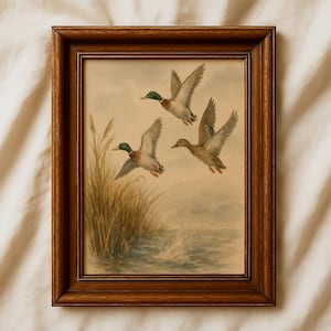 Mallard Duck Wall Art Rustic Hunting Lodge Decor Vintage Waterfowl Print Country Cabin Artwork Farmhouse Nature Gift for Him Lake House