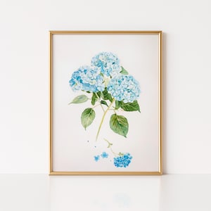 Blue Hydrangea Watercolor Print, Hydrangea Art Print, Minimalist Hydrangea Painting, Botanical Cottagecore Decor, Watercolor Floral Art