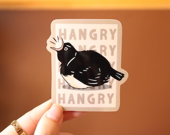 Hangry Willie Wagtail Vinyl Sticker - Australian Bird Decal