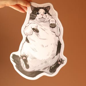 May include: A black and white cat illustration with a white background. The cat is lying on its back with its paws in the air. The cat has a round, fluffy body and a cute expression.