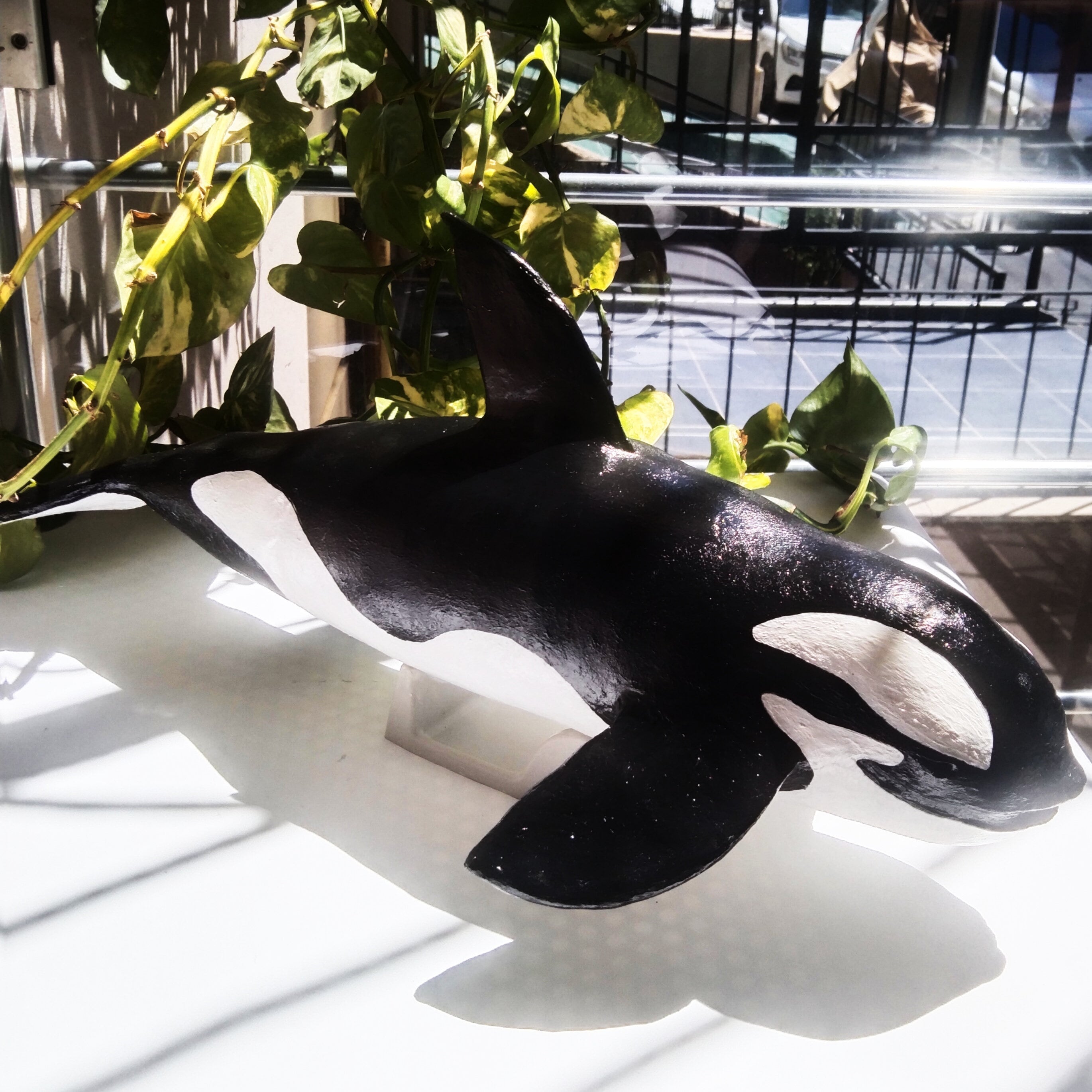 Paper Mache Dolphin Killer Whale Paper Clay Paper Mache Etsy
