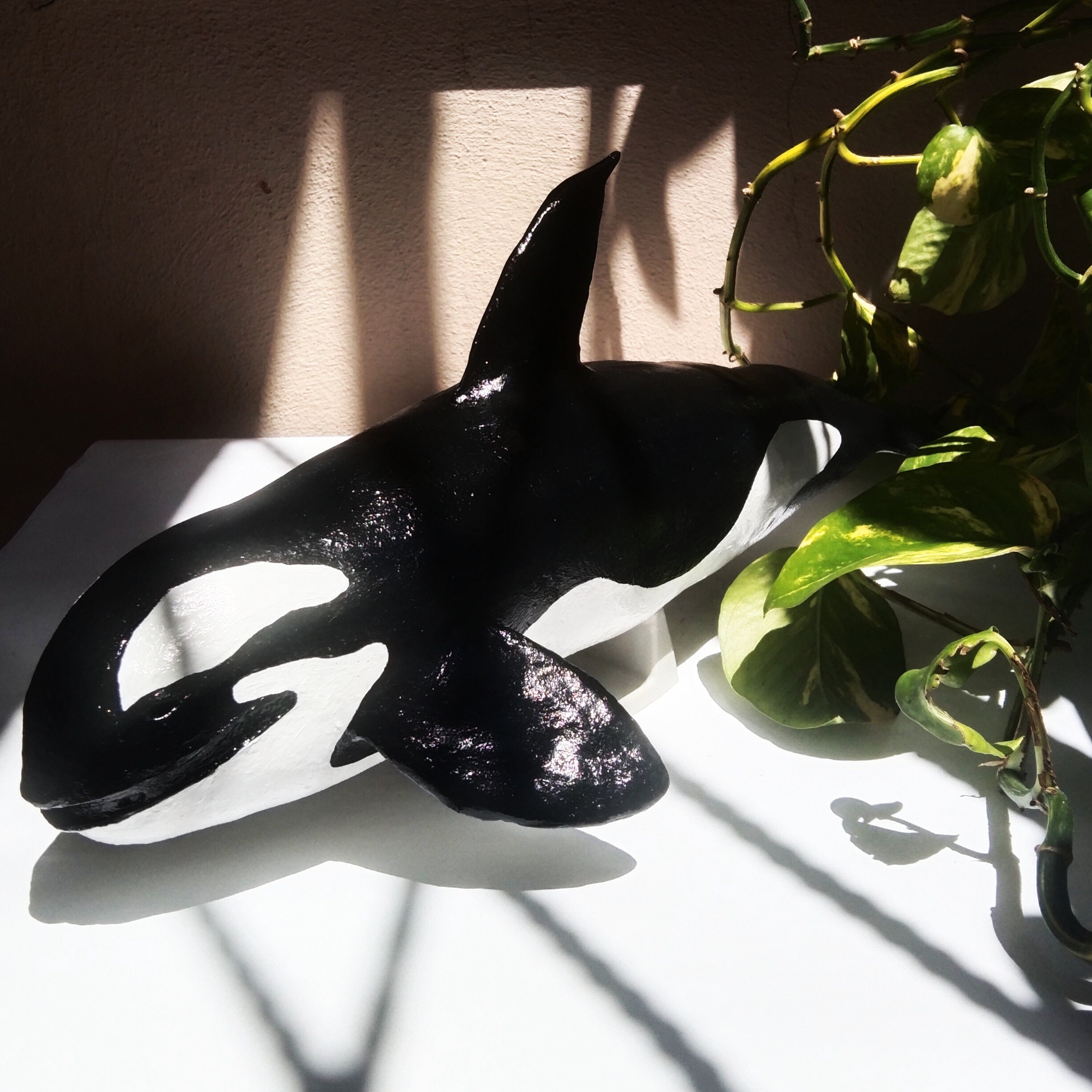 Paper Mache Dolphin Killer Whale Paper Clay Paper Mache Etsy