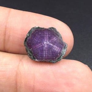 7 Cts Natural 6 Rare Trapiche Star Ruby Slice Gemstone Size 15x13x3 mm Shape Slice Trapiche Flashy Red Ruby Crystal for Jewelry Making Stone
