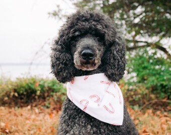 Candy Cane Dog Bandana