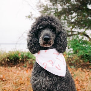 Candy Cane Dog Bandana image 1