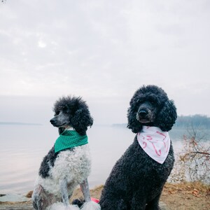 Candy Cane Dog Bandana image 5