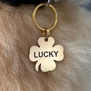 Engraved FOUR LEAF Clover Personalized Custom Pet ID Tags for Dogs and Cats in Solid Brass 1/2 5/8ths 3/4ths 1 inch 1.25 inch .75