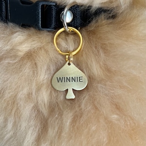 Custom ¾ x 2¾ Raised Lettering Brass Dog Collar Name Tags - Only After The First One | Outdoor Dog Supply