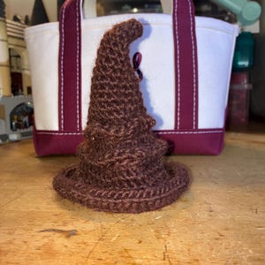 May include: A dark brown crocheted hat with a pointed, slightly curved top and a wide, circular brim. The texture of the yarn is visible throughout the piece, creating a structured yet soft appearance for this pointed head covering.