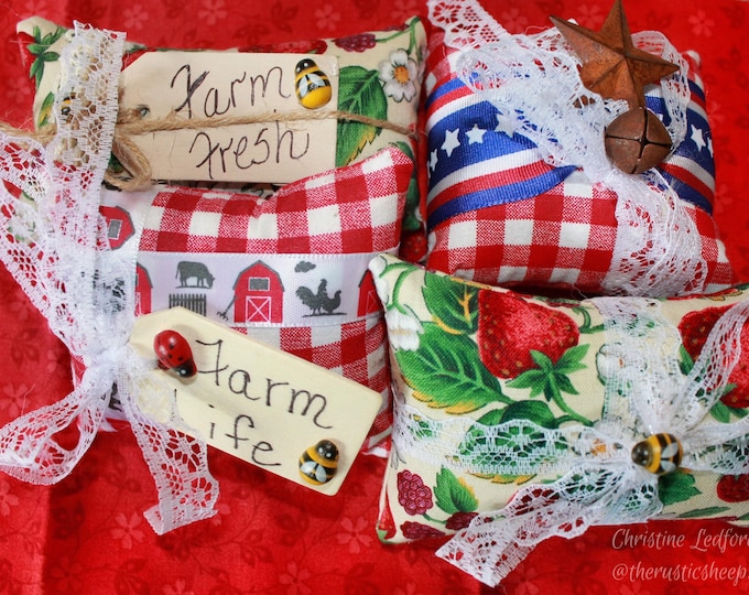Set (E) 4 Handmade Farm Fresh Gingham Mini Pillows for Bowl Fillers, Tier Trays, Home Decor, Farmhouse Life Seasonal  Bees Ladybug NEW