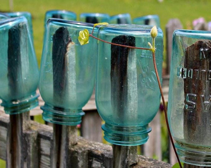 Simplicity - Fine Art, Original Photography Print, Mason Jars, Amish, Country, Farmhouse, Summer Fence, Home Decor, Wall Art, 11x14 with Mat