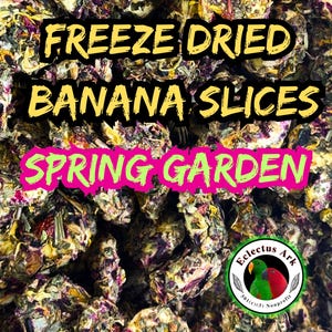 Freeze Dried Spring Garden Banana Slices