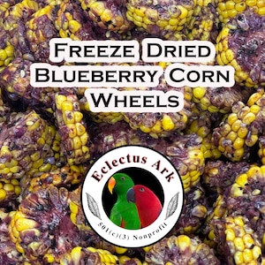 Freeze Dried Blueberry Corn Wheels for Parrots – Antioxidant-Rich Treats for All Parrot Species