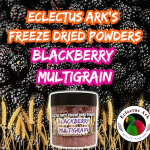 Freeze Dried Blackberry Multigrain Powder 3.5 oz container
