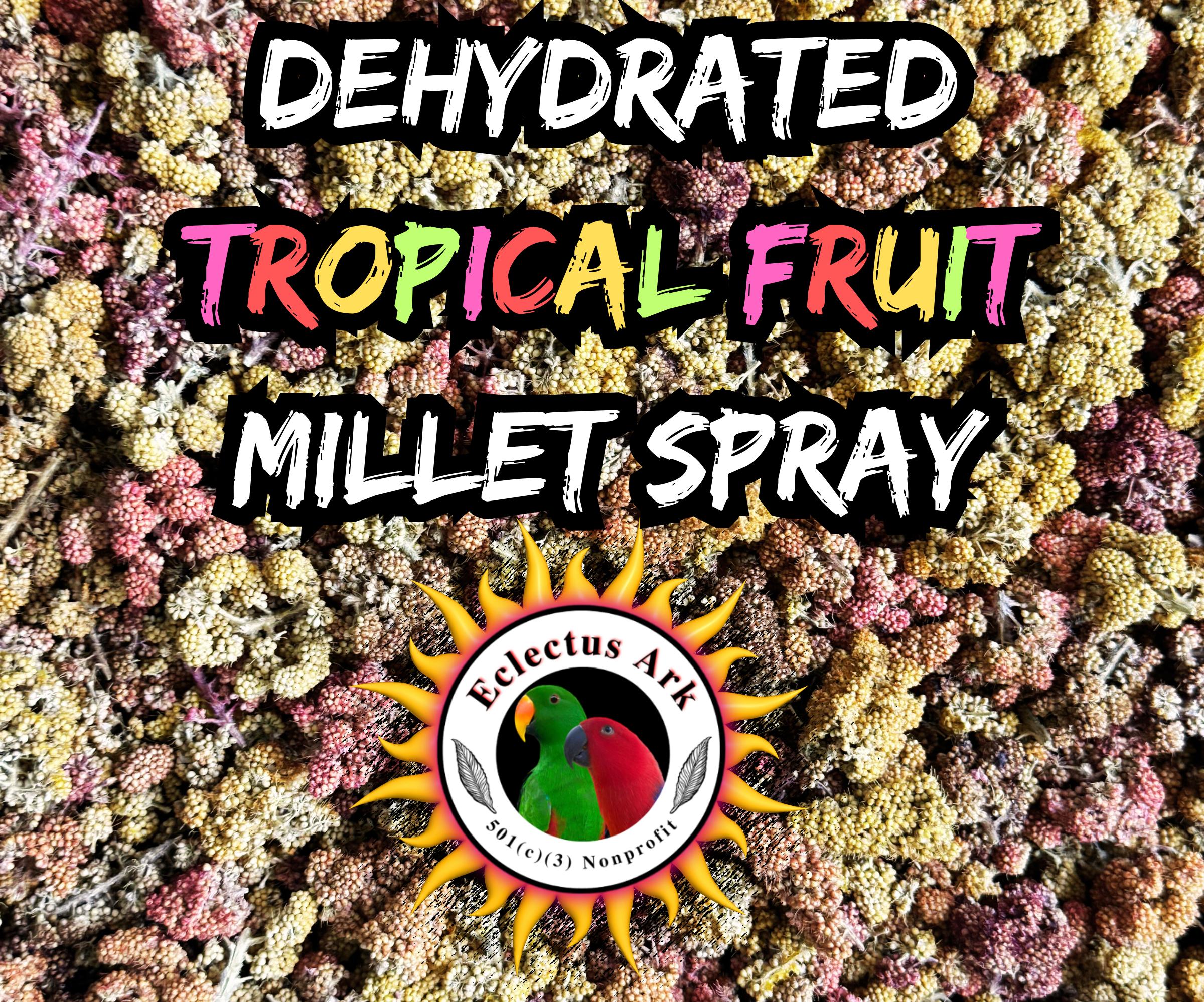 Dehydrated Tropical Fruit Infused Millet Sprays
