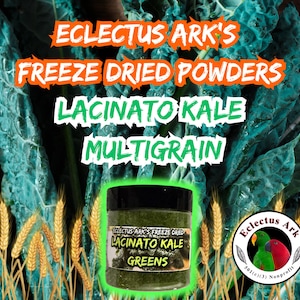Freeze Dried Lacinato Kale Multigrain Powder 2.5 oz container