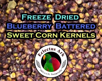 Freeze Dried Blueberry Battered Sweet Corn