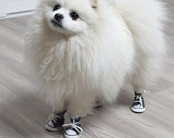 Pawfect Kicks