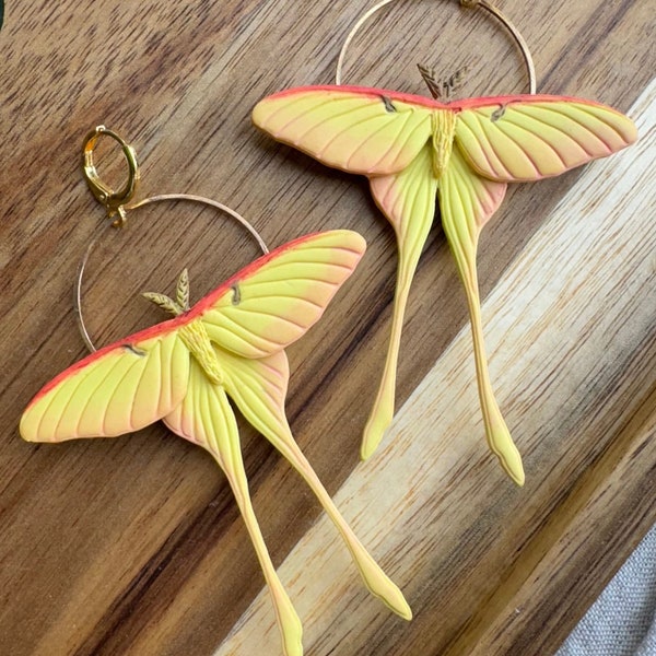 Boucles d'oreilles chinoises en papillon de lune, bijoux Luna Moth, crochets hypoallergéniques, pâte polymère faite main, cadeau pour amoureux des mites, cadeau cottagecore, fabrication artisanale