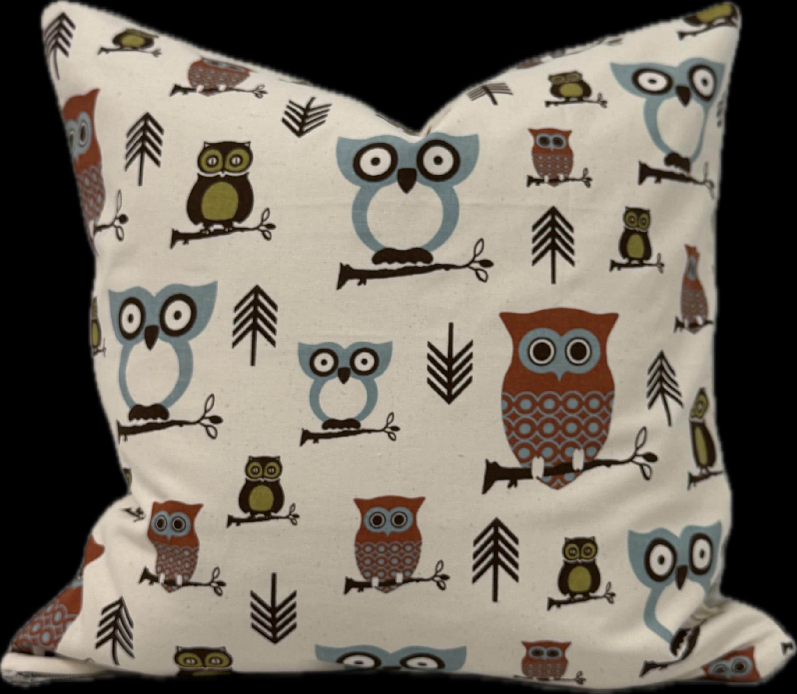 Lucky Owl 20x20 Custom Pillow