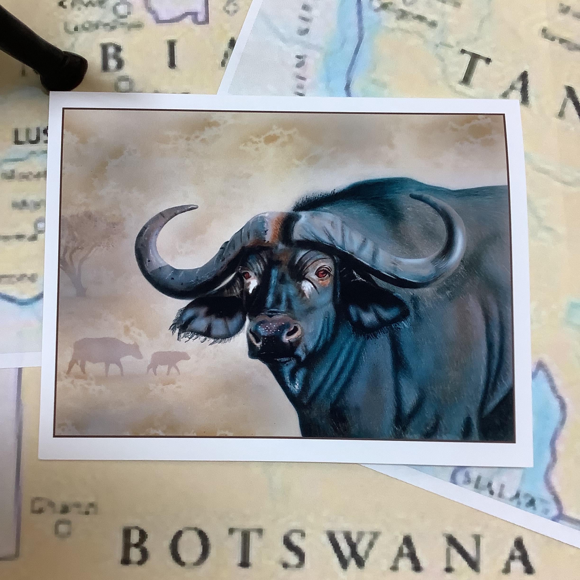 Cape Buffalo Art Note Card Set - Etsy