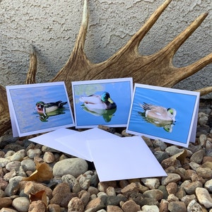 Wild Ducks Note Card Set