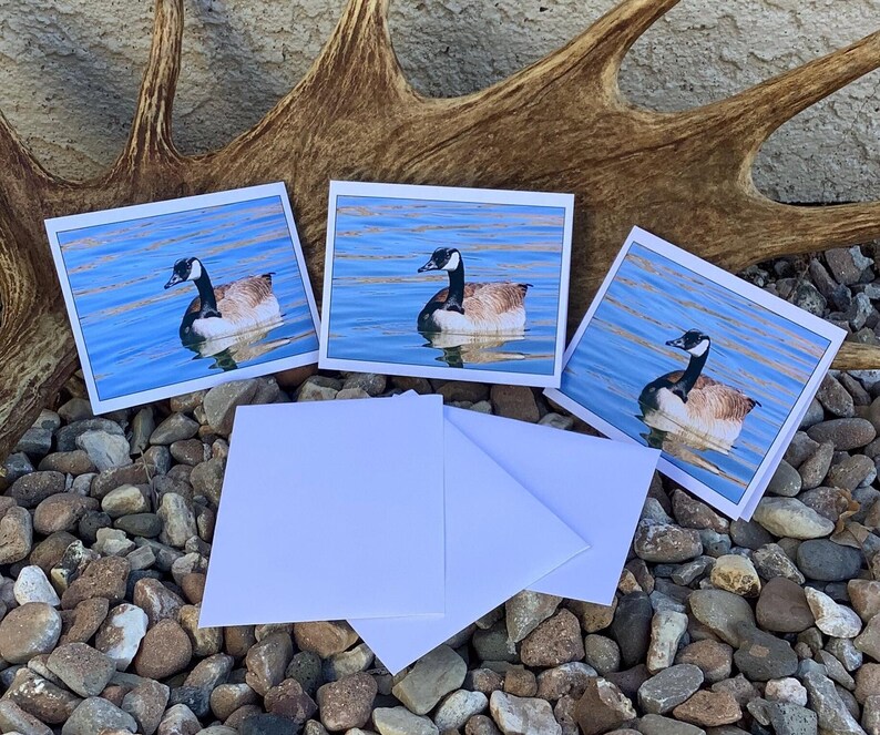 Goose Envelope Canadian Goose Note Card Set - Etsy