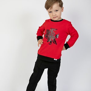 Lithuanian Vytis Sweatshirt • Kids Hoodie with Coat of Arms • Unisex Toddler Jumper • Baltic Heritage Clothes • Handmade in Lithuania