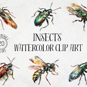 Watercolor Insect Clipart Bundle, Insect PNG, Watercolor Clipart, Insect Clipart, Bug Clip Art, Insects, Digital Download, Clip Art