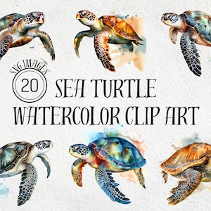 Watercolor Sea Turtle Clipart, Sea Turtle SVG, Turtle SVG, Sea Turtle, Sea Turtle Clip Art sea turtle picture, Commercial Use, Digital Art