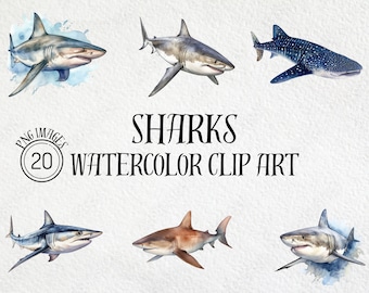 Hai Aquarell Clipart Bundle, Ozean PNG Grafiken (digitaler Download)