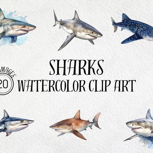 Shark Watercolor Clipart Bundle, Shark PNG, Whale Sharks, Great White Shark, Ocean PNG, Sublimation Design, Digital Download, Clip Art