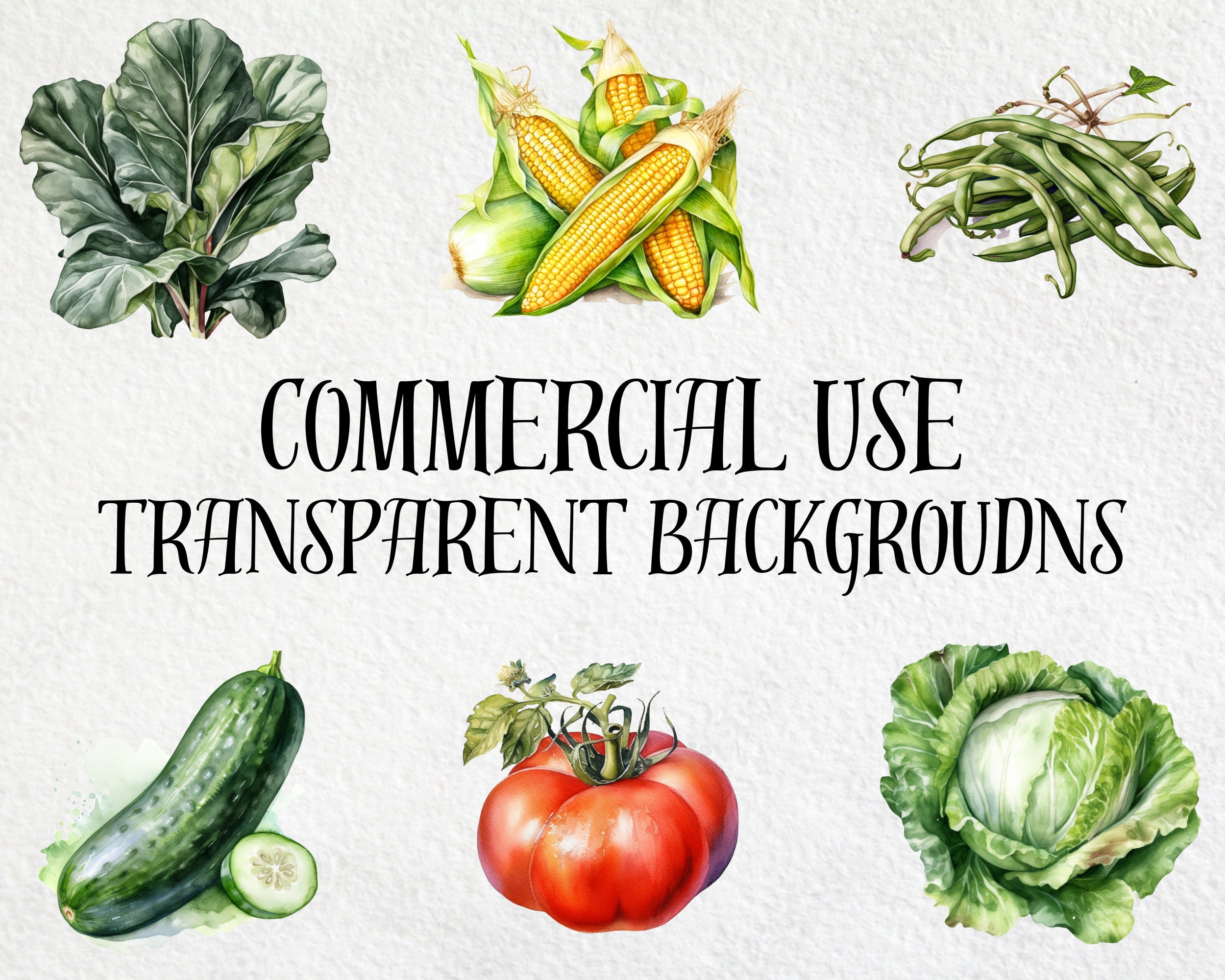 Watercolor Vegetable Clipart Bundle: Garden Veggie PNG Images Digital ...