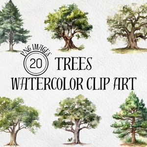 Watercolor Tree Clipart, Oak Tree Clip Art, Redwood Clip Art, Pine Tree Art, Aspen Tree, PNG Image, Instant Download, Commercial Use