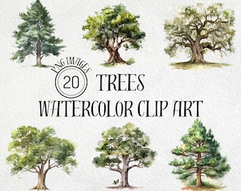 Watercolor Tree Clipart Set: Oak, Pine, Redwood (PNG Instant Download, Commercial Use)