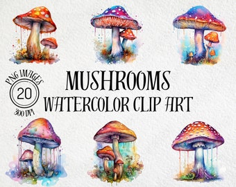 Aquarell Pilz Clip Art Bundle, wunderliche PNG Bilder (digitaler Download)