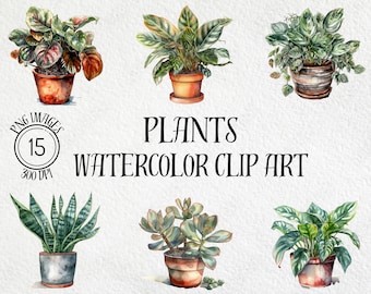 Paquete de imágenes prediseñadas de plantas de interior en acuarela, PNG botánico (descarga digital)