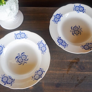 May include: Two white ceramic plates with a scalloped edge and blue floral designs. The plates are on a dark wooden surface. A white decorative vase with greenery is in the background.