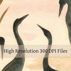 May include: Watercolor painting of several dark blue cranes with long necks and beaks. The birds are set against a soft, neutral background with hints of pink and brown. The text "High Resolution 300 DPI Files" is visible.