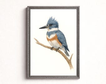 印刷可能なカワセミのアートプリント、カワセミの鳥の鉛筆画の壁アート