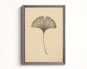Ginkgo Leaf Wall Art, Minimalist Botanical Line Drawing Print, Vintage Nature Poster (Digital Download)
