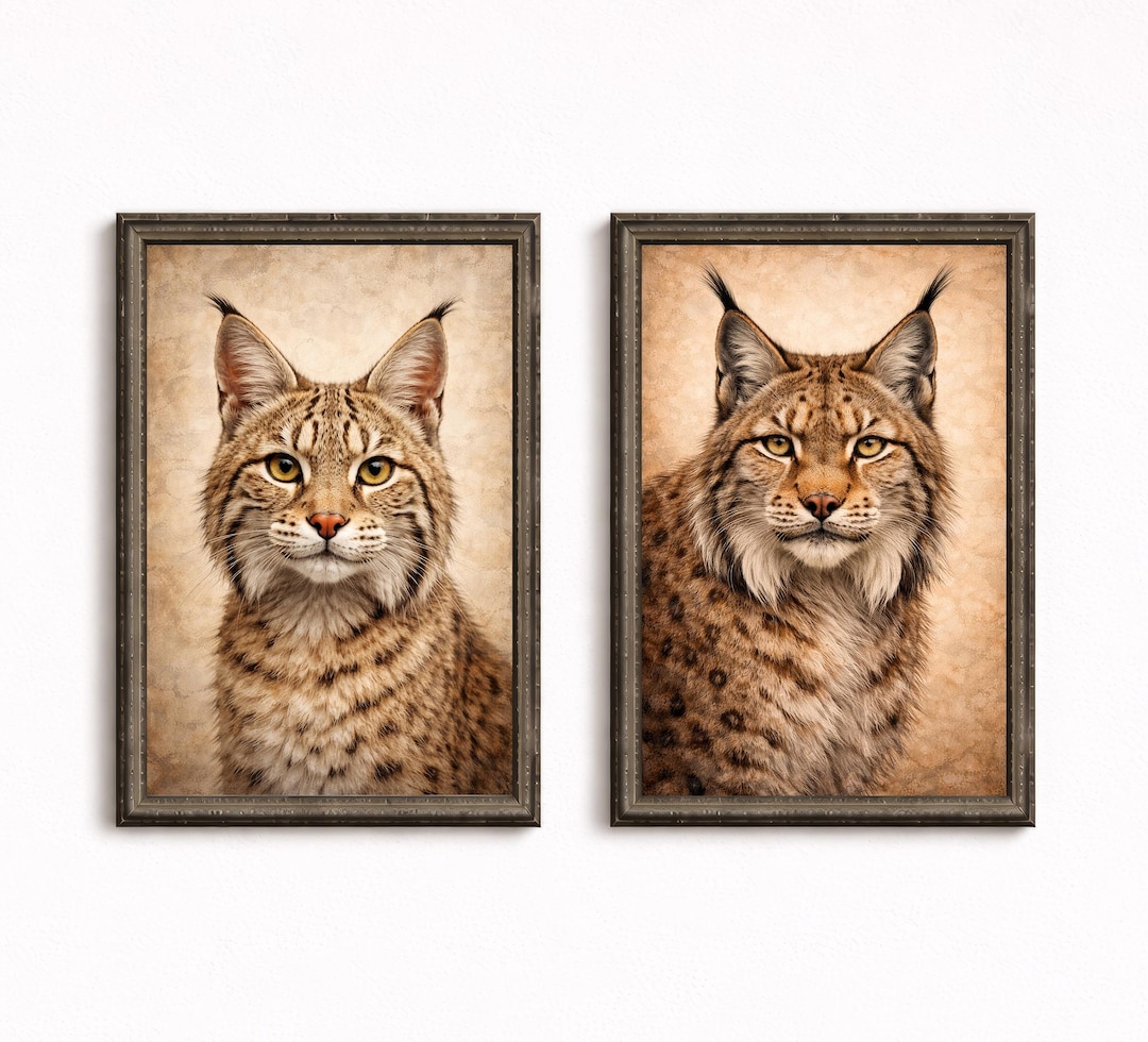 Rustic Bobcat Bobcat and Canada Lynx Wall Art Set, Wild Cat Portrait Prints, Rustic ...