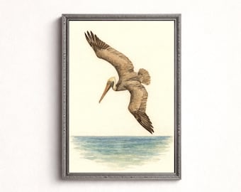 Brown Pelican Watercolor Print – Coastal Bird Wall Art (Digital Download)